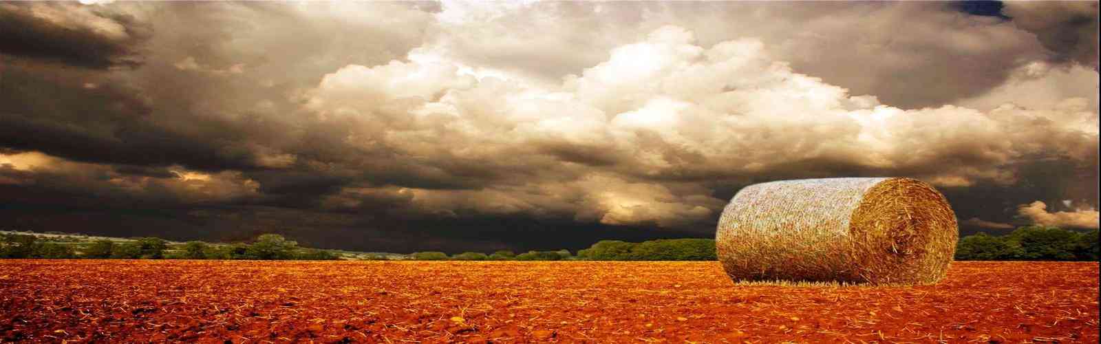 华纳万宝路公司